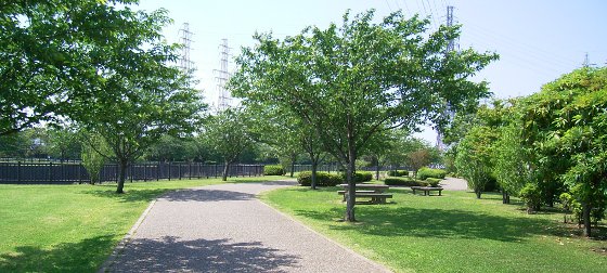 公園の写真